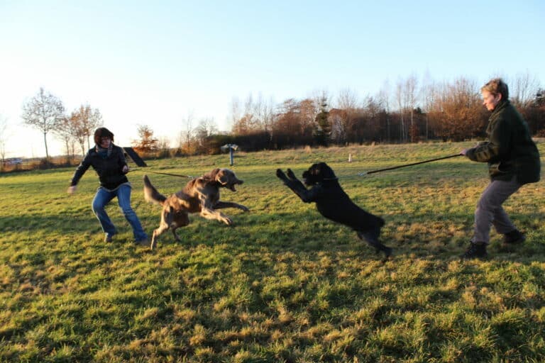 Es fing ganz harmlos an