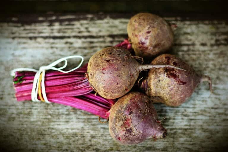 Power-Knolle: Rote Bete als Leistungsbooster