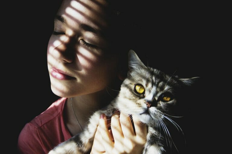 10 Schritte zur perfekten Katzenkommunikation