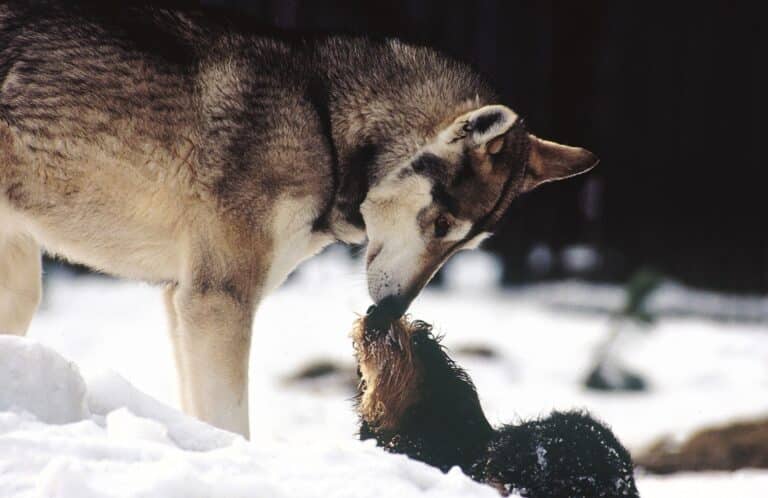 Im Gespräch mit Günther Bloch