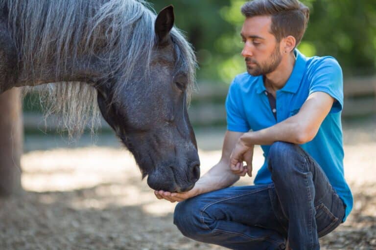 Was willst du mir sagen?