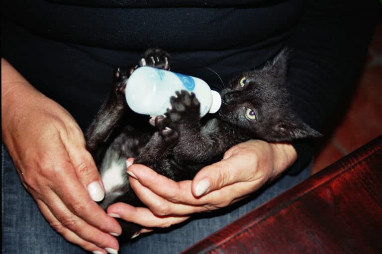 “Ich liebe ihre Sturheit”