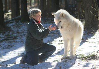 Wo bleibt der Respekt vor dem Wildtier Wolf?