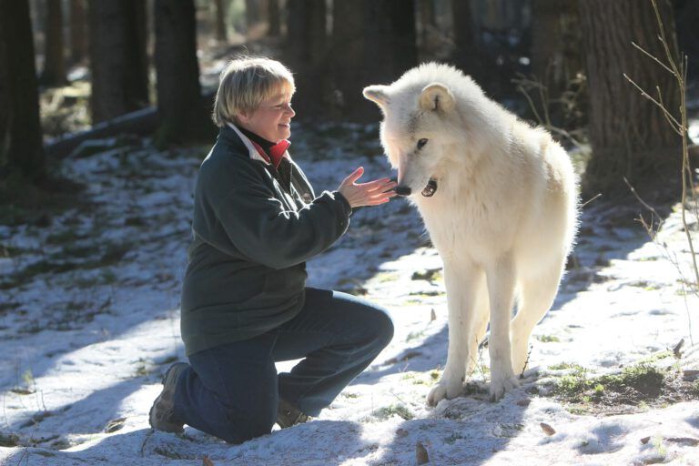 Wo bleibt der Respekt vor dem Wildtier Wolf?
