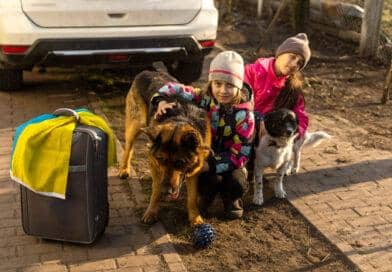 Hinterbliebene Vierbeiner der Ukraine