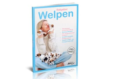 Ratgeber Welpen <span style='font-size:13px;'>| Das Standardwerk!</span> 