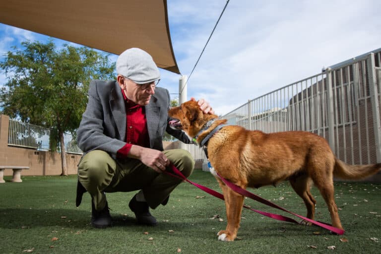 Was die Mensch-Hund-Beziehung besonders macht