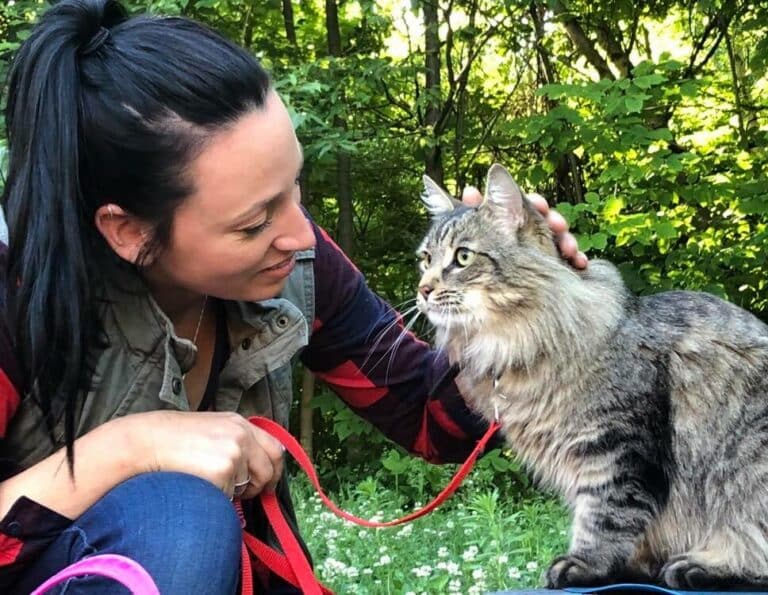 “Tiere lieben deine Zeit.”