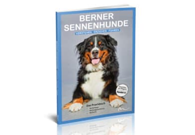 Berner Sennenhunde <span style='font-size:13px;'>| DAS Berner-Buch!</span> 