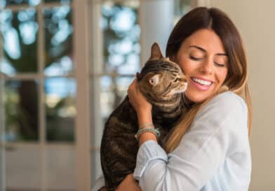 Ist deine Katze ein Menschenversteher? <span style='font-size:13px;'>| Mach den Test!</span> 