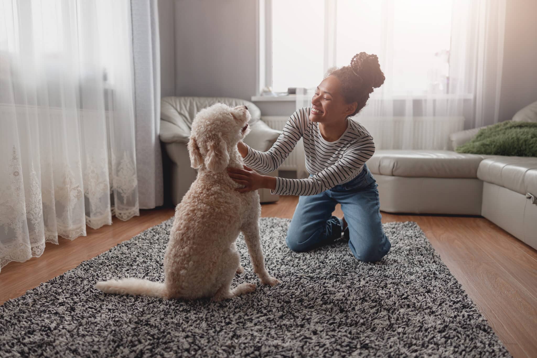 Hund Begrüßt Mich Nicht Wenn Ich Nachhause Komme good4pets.de