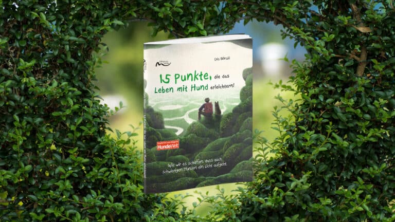 15 Punkte, die das Leben mit Hund erleichtern