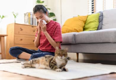 10 Tipps für Katzenallergiker