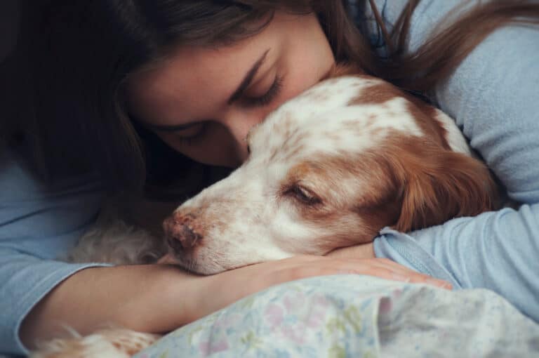Warum wird meinem Hund oft übel?