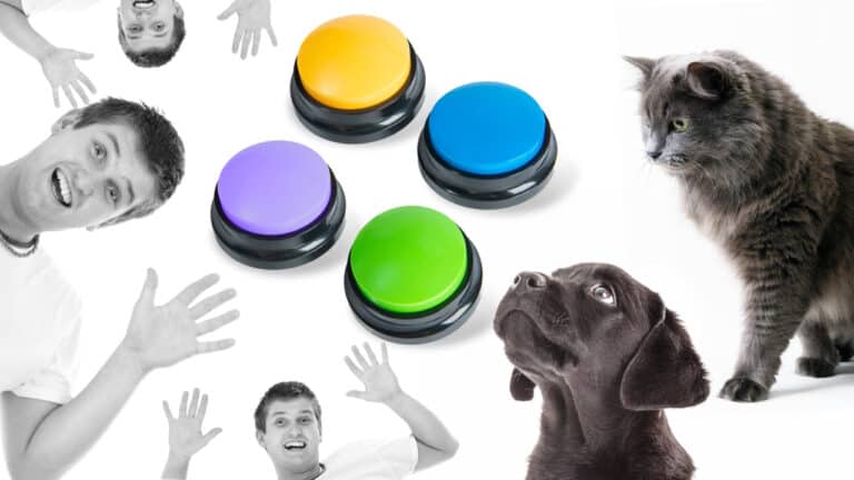 Training Buttons für Hunde und Katzen