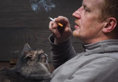 Studie zeigt: 2 von 5 Katzen erkranken im Raucherhaushalt