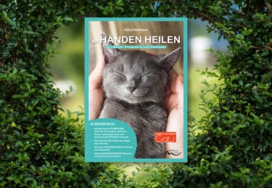 Mit Händen heilen <span style='font-size:13px;'>| Der 5-Minuten-Praxisguide für Katzenhalter</span> 