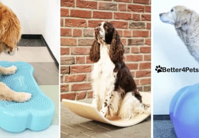 Better4Pets.de – Der Gesundheits-Shop
