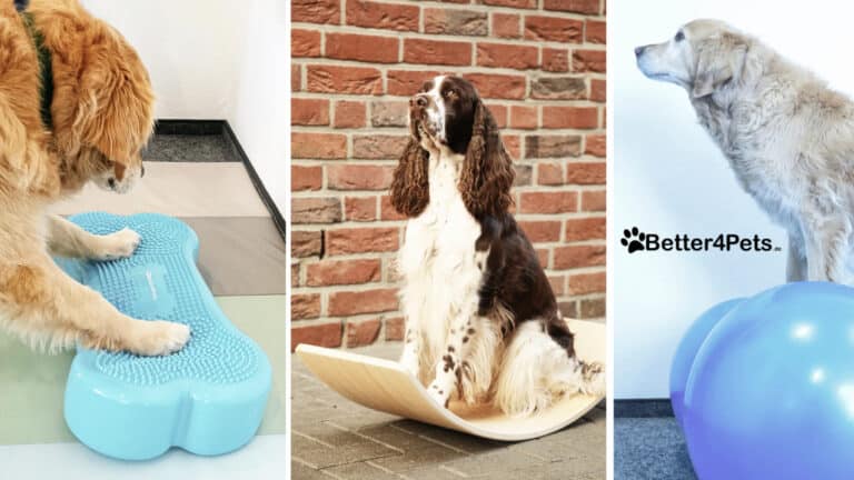 Better4Pets.de – Der Gesundheits-Shop