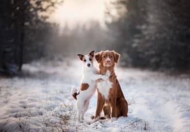 Raus aus dem Winterblues