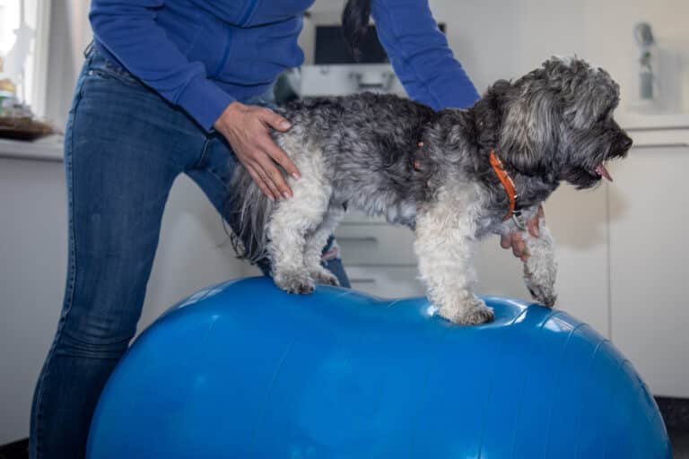 Roll, roll, roll your Ball…