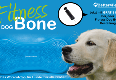 Hunde-Physio mit Extra