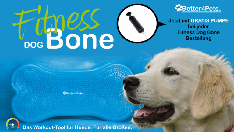 Hunde-Physio mit Extra