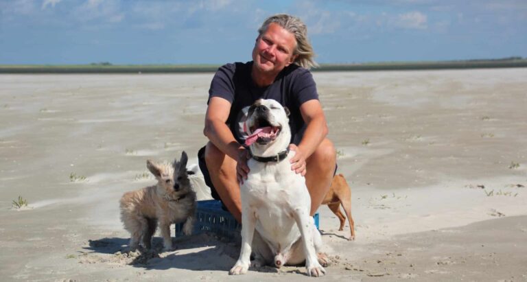 “Hunde sind nicht kompliziert!”