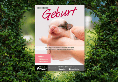 Checkliste Geburt: Gratis E-Book