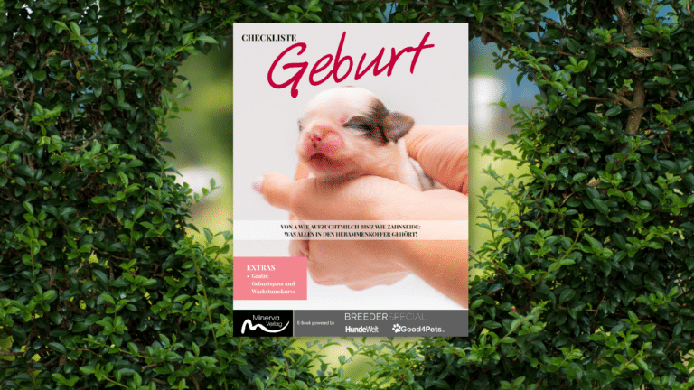 Checkliste Geburt: Gratis E-Book