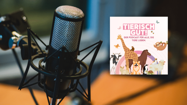 Neue Podcast-Folge: Der Reptilienzoo des Thomas Lücke