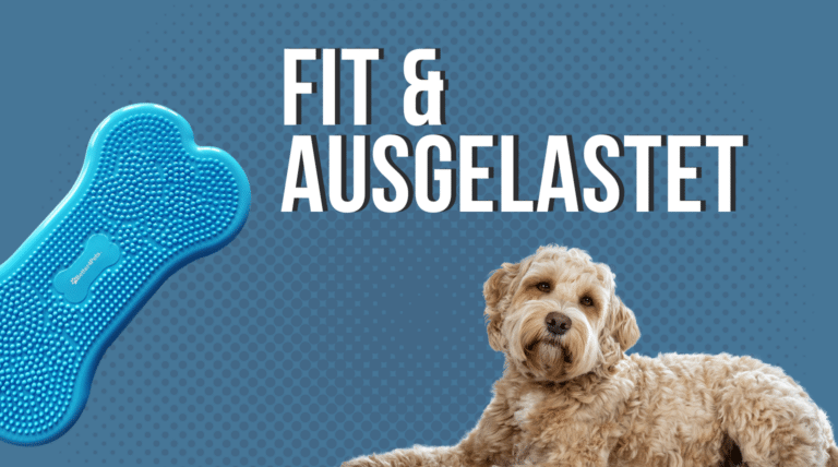 Den Körper spielerisch stärken