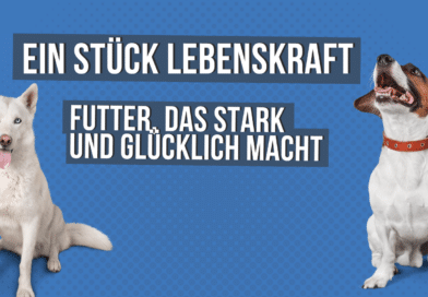 Ein Stück Lebenskraft <span style='font-size:13px;'>| Futter, das stark und glücklich macht</span> 