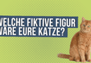 Welche fiktive Figur wäre eure Katze? <span style='font-size:13px;'>| Die besten Antworten</span> 