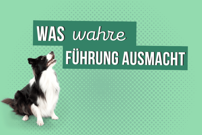 Was wahre Führung ausmacht