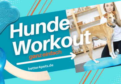 Better4Pets.de – YouTube-Kanal mit Trainingsanleitungen