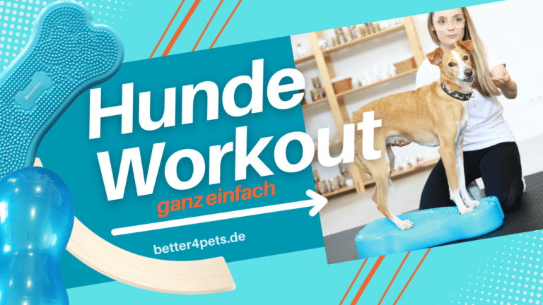 Better4Pets.de – YouTube-Kanal mit Trainingsanleitungen