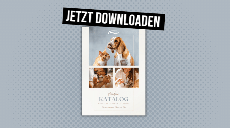 Aktueller Katalog ist online