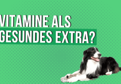Vitamine als gesundes Extra?