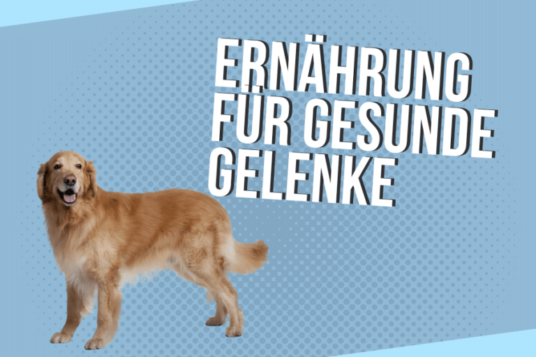 Naschen mit Verstand