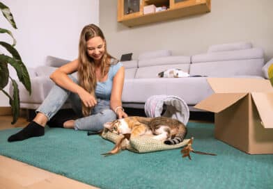 Vom Guten das Beste: ganz einfach – Katzenfutter von FLORIE