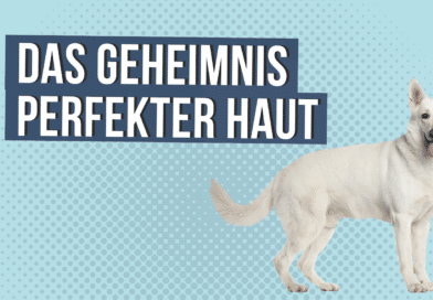 Das Geheimnis perfekter Haut