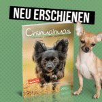 Chihuahuas verstehen | erziehen | ausbilden <span style='font-size:13px;'>| Buch</span> 