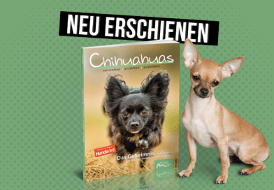 Chihuahuas verstehen | erziehen | ausbilden <span style='font-size:13px;'>| Buch</span> 