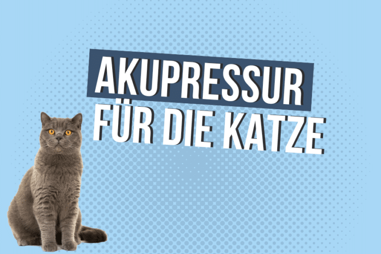 Das Geschenk der Gesundheit