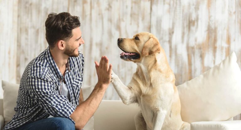 Wie intelligent ist dein Hund?
