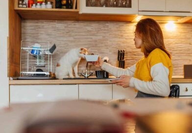 10 unschlagbare Spartipps für Katzenhalter