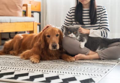 Bist du ein Hunde- oder Katzenmensch? <span style='font-size:13px;'>| Mach den Test!</span> 