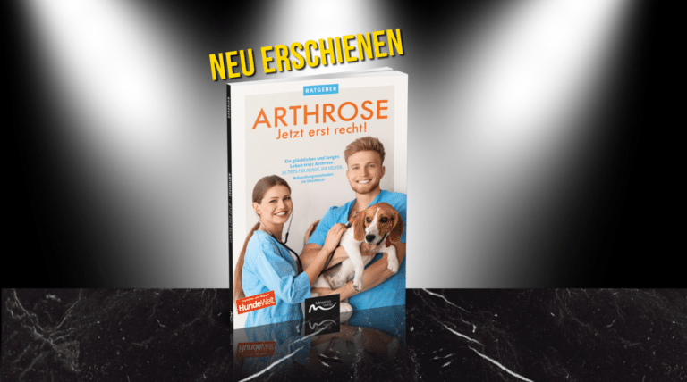 Arthrose – Jetzt erst recht!