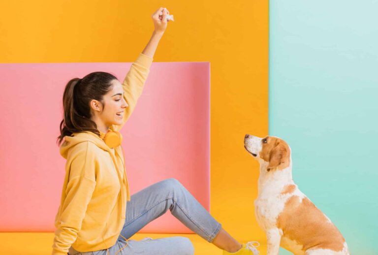 Mit allen 4 Pfoten fest auf dem Boden!